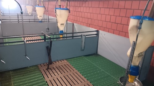 Professionelle Stallreinigung für optimale Hygienebedingungen